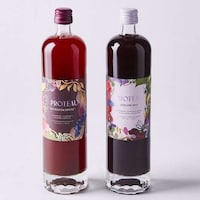 Zero-Proof Botanical Drinks Image 1