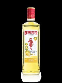 Fresh Lemon-Infused Gins Image 1
