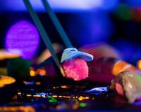 Glow-in-the-Dark Sushi Bars Image 3