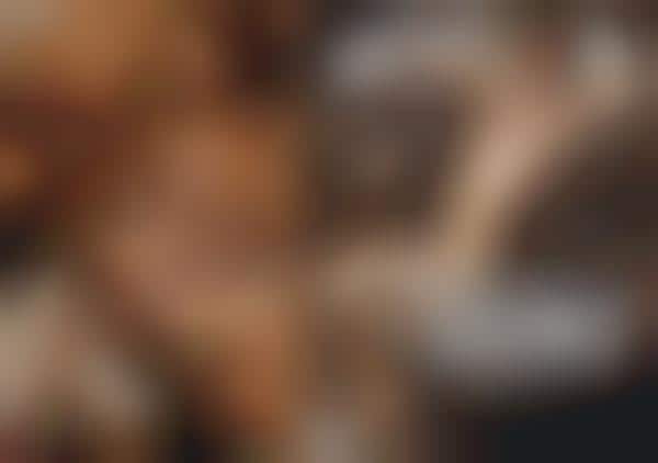 Parody Nudetography