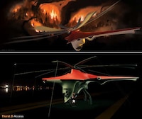 Fire Fighting Choppers Image 4