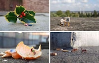 Tiny Person Tableaus Image 6