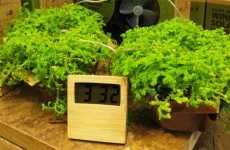 Plant Powered Clocks