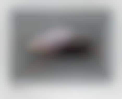 Pooptastic Street Art