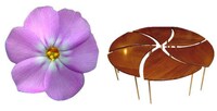 Biomimic Gadgetry Image 3