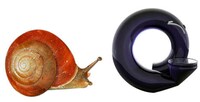Biomimic Gadgetry Image 4