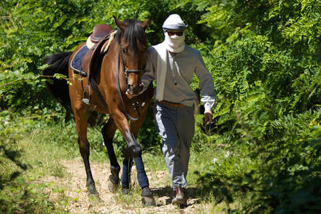 Curious Equestrian Lookbooks