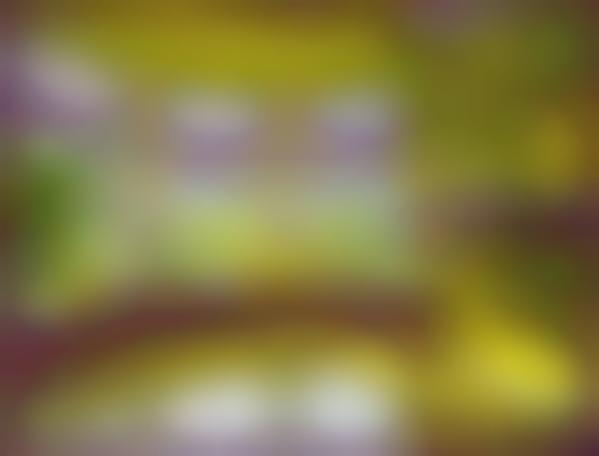 Psychedelic Bedrooms