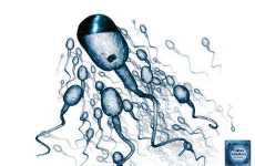15 Sperm Innovations