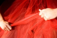 Sensual Tulle Skirts Image 5