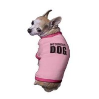 Poochie Couture Image 6