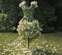 Extreme Foliage Couture Image 2