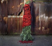 Extreme Foliage Couture Image 8