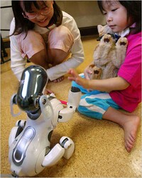 Robot Layoffs Image 8