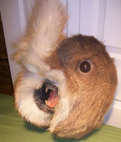 Twisted Taxidermy