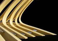 Curvilinear Poolside Chaises Image 7