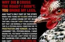 Disturbing Chicken Interviews