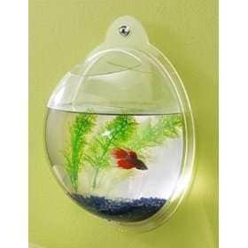 36 Wall-Mounted Innovations