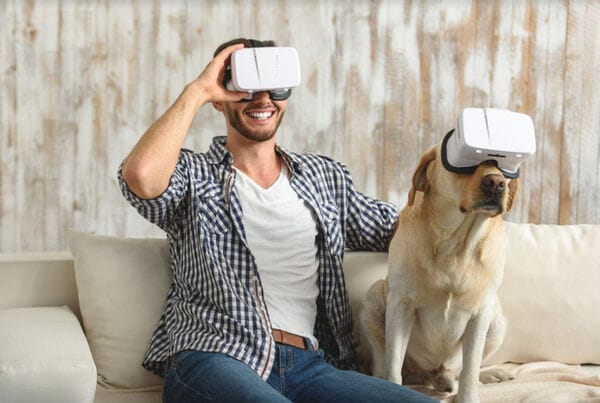 Metaverse Dog Parks