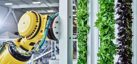 Department Store Farming Investments