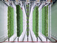 Department Store Farming Investments Image 2