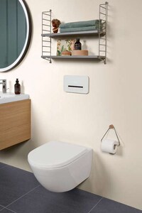 Powerful Vortex Toilet Bowls Image 2