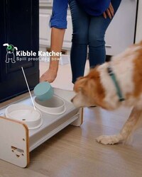 Spill-Proof Kibble Bowls Image 1