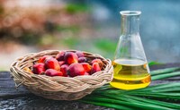 Yeast-Based Oil Alternatives Image 1