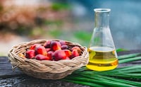 Yeast-Based Oil Alternatives