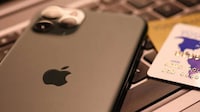 Payment Terminal-Enabled Mobile Devices