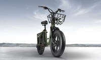 Off-Road Utility Electric Bikes Image 1
