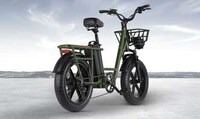 Off-Road Utility Electric Bikes Image 2