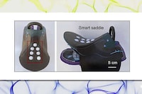 Sensor-Equipped Equestrian Saddles