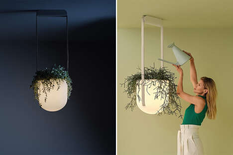 Demure Dual-Function Hanging Planters