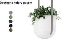 Demure Dual-Function Hanging Planters Image 5
