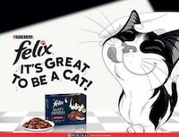 Mischievous Feline Food Campaigns Image 1