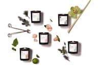 Functional Botanical Home Fragrances Image 2