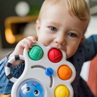 Multi-Sensory Teething Toys Image 6