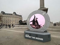 Arctic Portal Installations