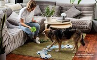 Pet Communication Kits