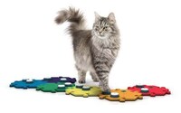Pet Communication Kits Image 3