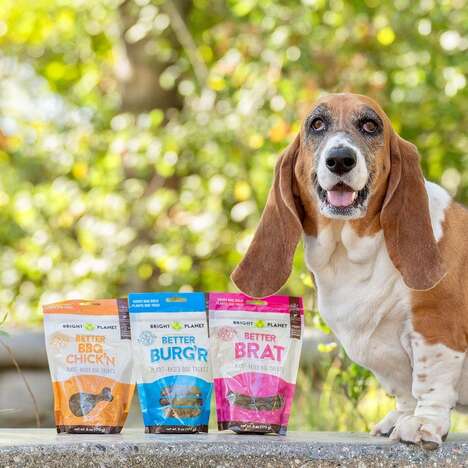 Meat-Like Dog Treats