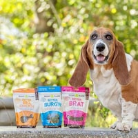 Meat-Like Dog Treats Image 1