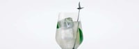 Branded Homemade Alcoholic Beverages