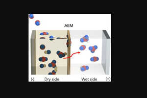 Artificial CO2-Capturing Leaves Article Thubnail