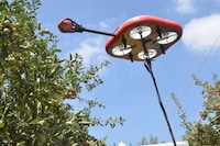 Flying Fruit-Harvesting Drones Image 2