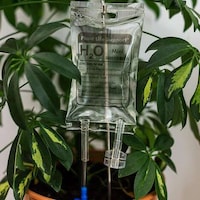 Medical-Inspired Plant Tools Image 1