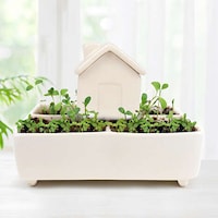 Uniquely Shaped Self-Watering Pots Image 1