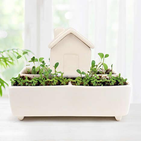 Uniquely Shaped Self-Watering Pots