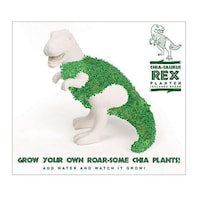 Dinosaur-Inspired Planters Image 2